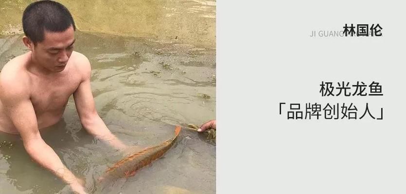 龍魚缸需要一直開燈嗎：龍魚缸不需要一直開燈嗎？