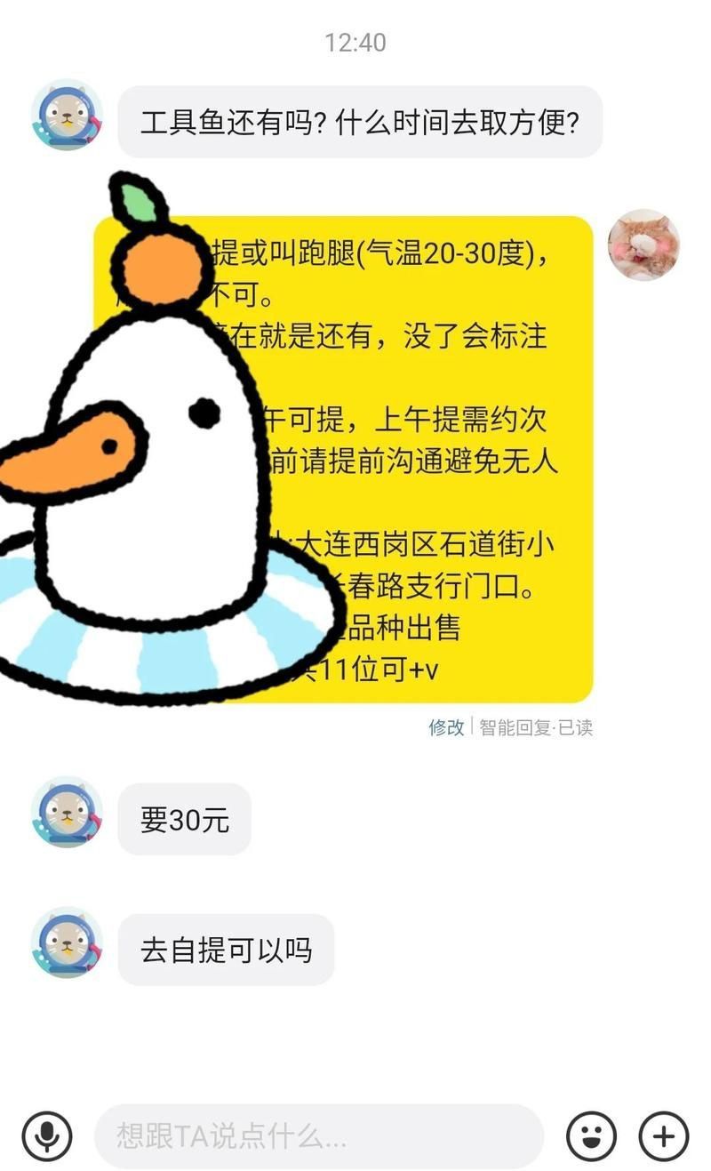 迷彩胡子和雪花胡子哪個(gè)好 迷彩胡子和雪花胡子哪個(gè)好 龍魚百科 第1張