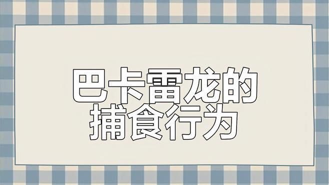 巴卡雷龍魚為什么不吃小魚