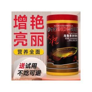 銀龍魚 發色（銀龍魚的發色受到哪些因素的影響）