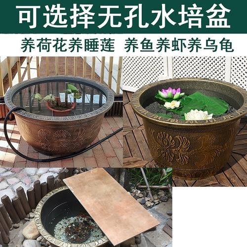 推薦幾款性價比最高的1.2米龍缸 推薦幾款性價比最高的1.2米龍缸 龍魚百科 第2張