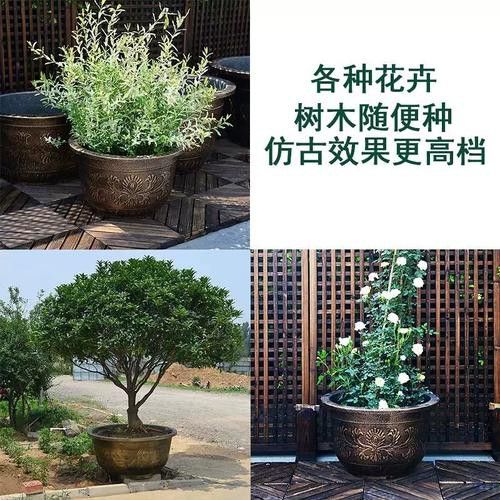 推薦幾款性價比最高的1.2米龍缸 推薦幾款性價比最高的1.2米龍缸 龍魚百科 第3張
