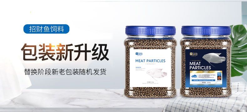 龍魚幾年成年:關于龍魚成年時間的詳細信息 龍魚百科 第1張 龍魚幾年成年:關于龍魚成年時間的詳細信息 龍魚幾年成年:關于龍魚成年時間的詳細信息 龍魚百科 第1張
