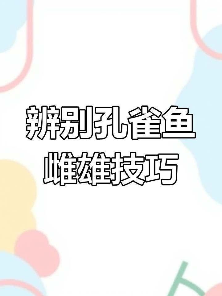 孔雀魚苗40天了還分不出公母