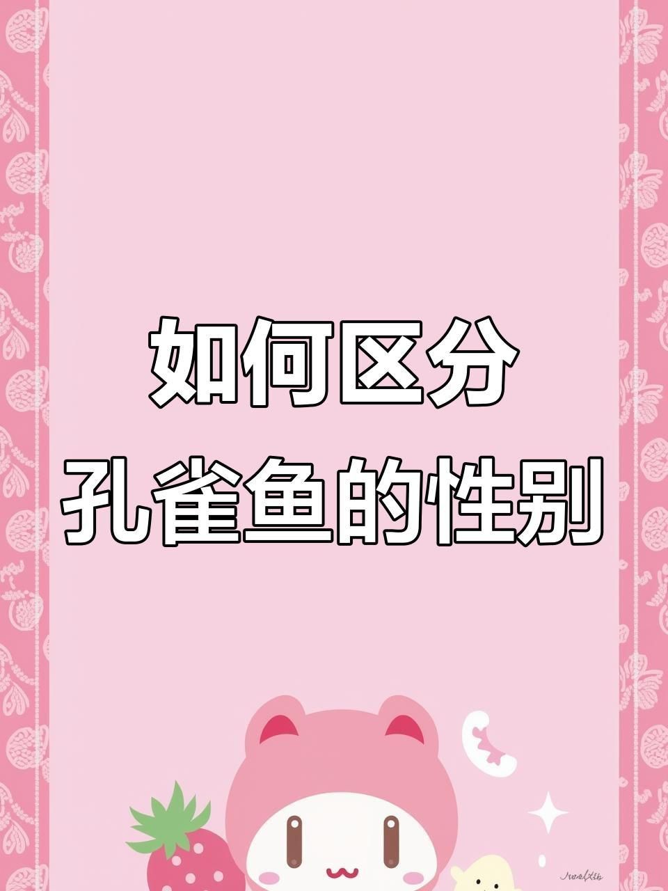 孔雀魚苗40天了還分不出公母