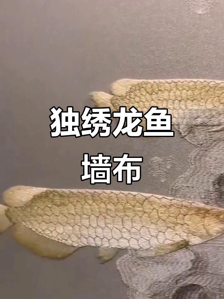 哪里可以購買到稀有紅色龍魚？