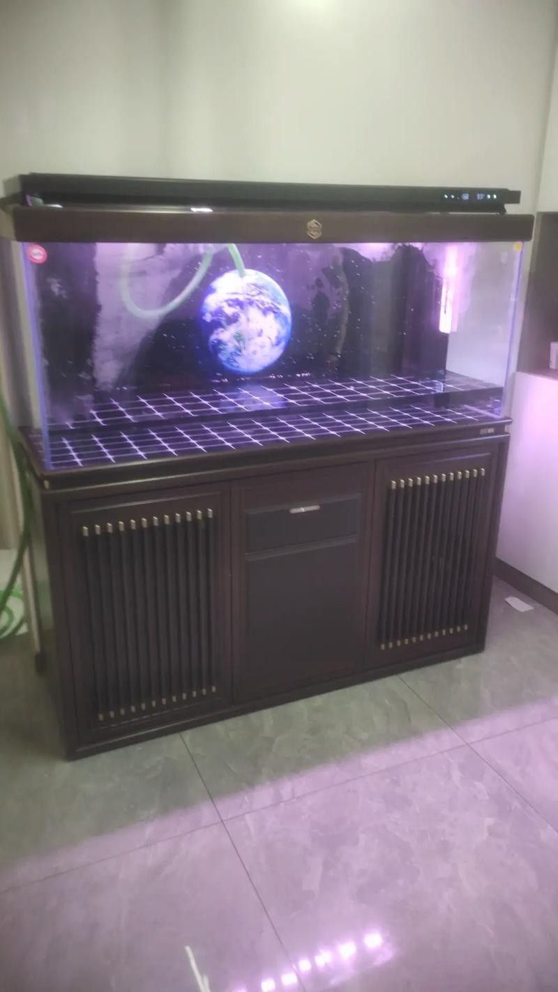 推薦幾款適合高背金龍魚的魚缸品牌