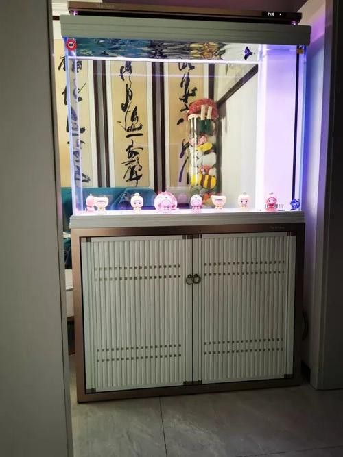 推薦幾款適合高背金龍魚的魚缸品牌