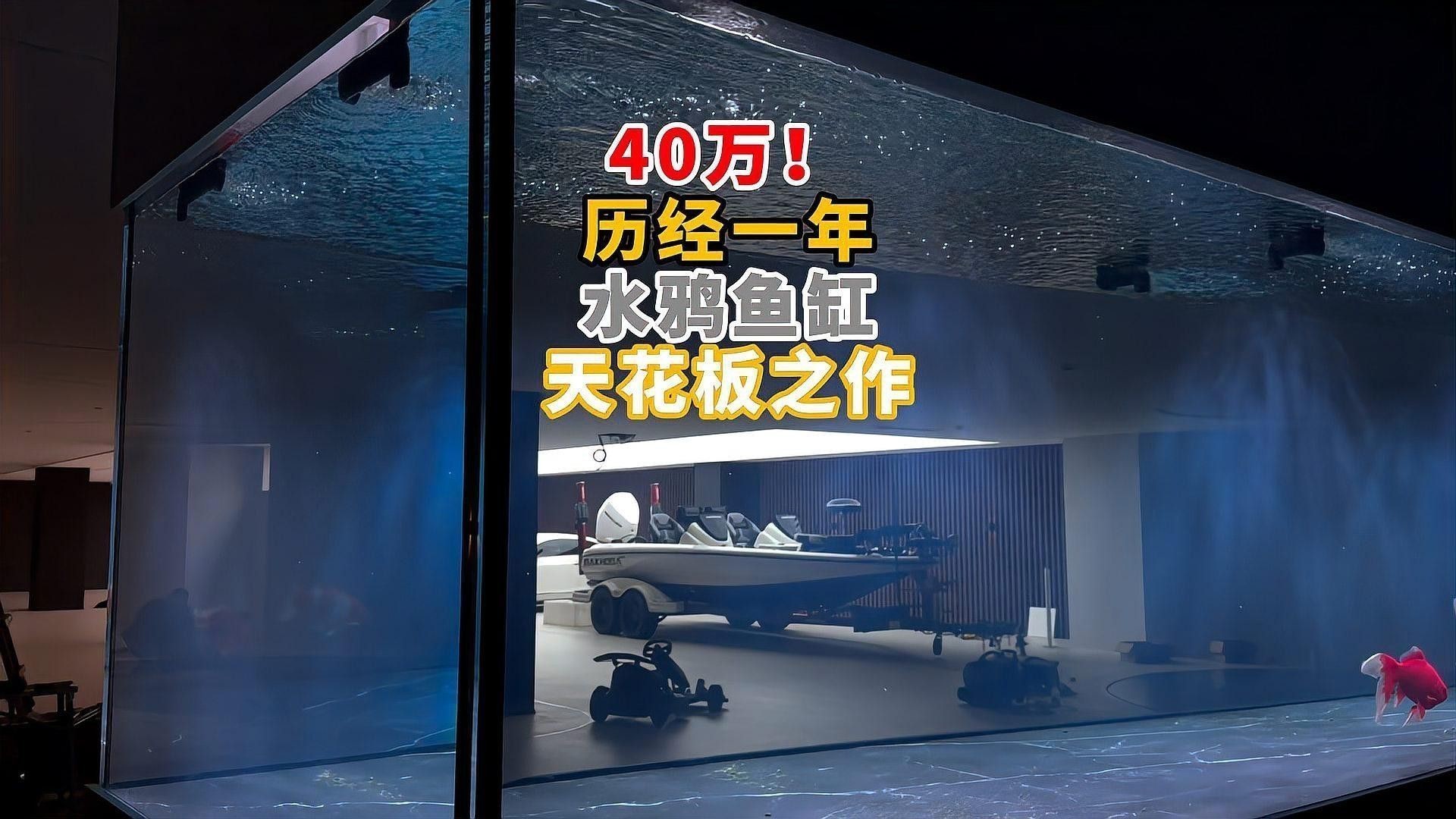 推薦幾款適合高背金龍魚的魚缸品牌