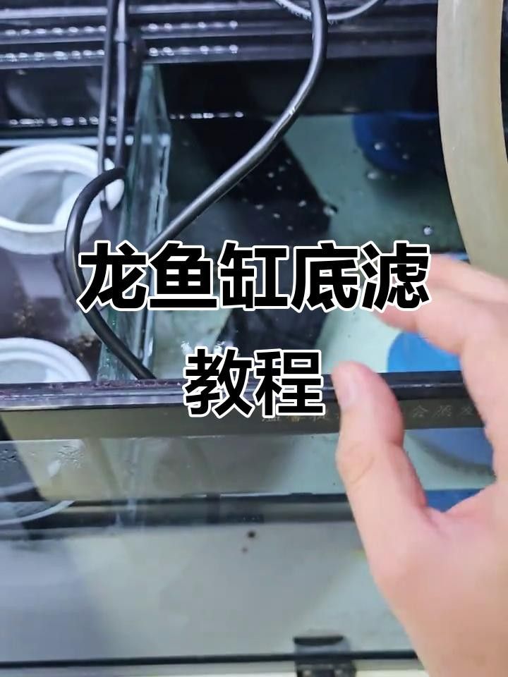 龍魚缸哪些品牌性價比最高？