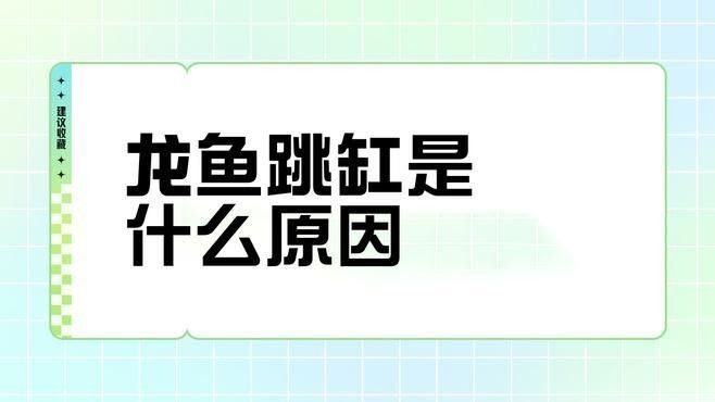 龍魚跳出魚缸摔到地下怎么辦啊