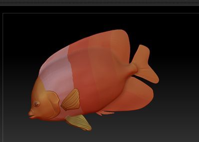天使金龍魚(yú)（天使金龍魚(yú)是什么魚(yú)）
