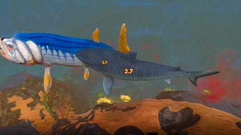 天使金龍魚(yú)（天使金龍魚(yú)是什么魚(yú)）