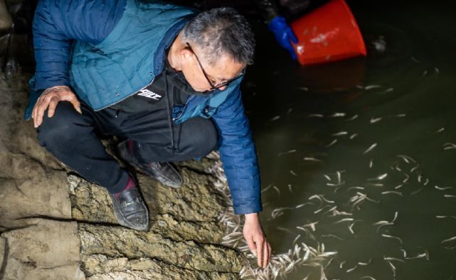 龍魚缸換水多久一次最好：龍魚缸換水的頻率和注意事項