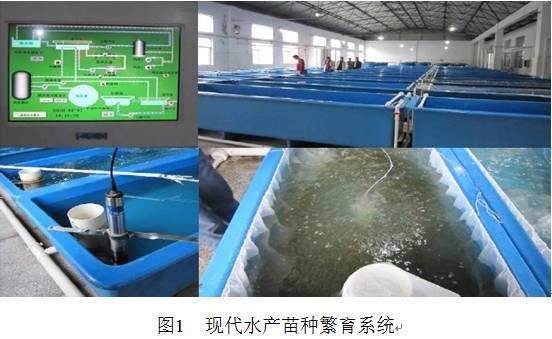紅龍魚繁殖場需要哪些設備？