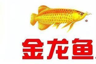 金龍魚暴漲：關于金龍魚暴漲的一些情況