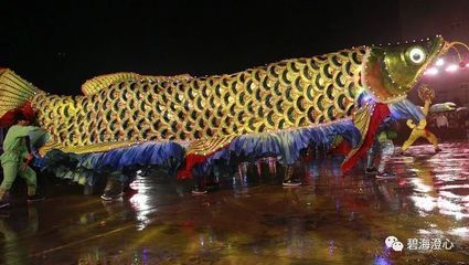 潮汕所說的龍魚（在潮汕地區，“龍魚”這一稱呼可能指代多種魚類） 潮汕所說的龍魚（在潮汕地區，“龍魚”這一稱呼可能指代多種魚類） 龍魚百科 第1張