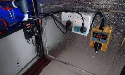 龍魚溫度過低要怎么救：龍魚在水溫過低時，可能會表現(xiàn)出翻白肚等不適癥狀，為了救活它們