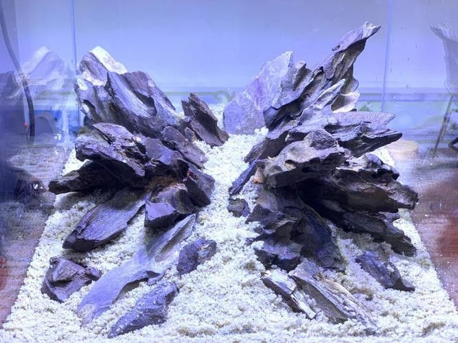 龍魚魚缸造景圖片大全大圖