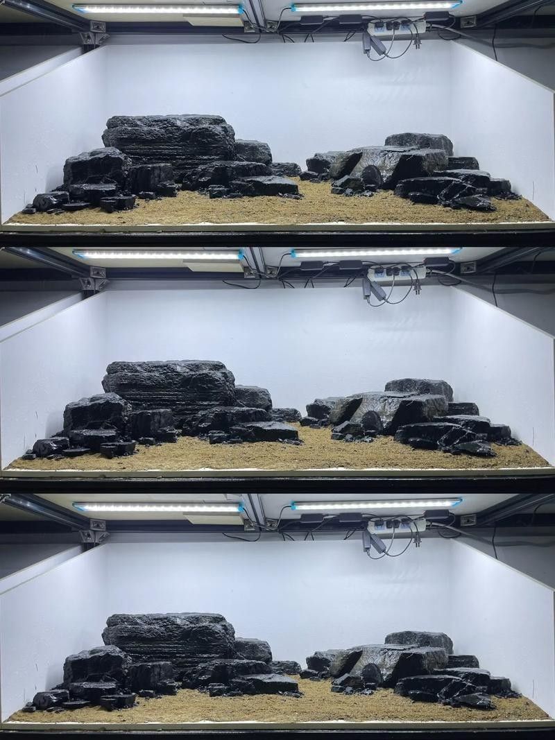 龍魚魚缸造景圖片大全大圖
