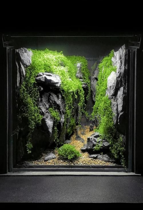 龍魚魚缸造景圖片大全大圖