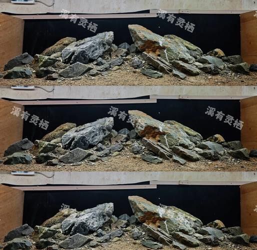 龍魚魚缸造景圖片大全大圖