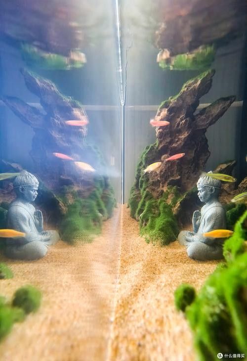 龍魚魚缸造景圖片大全大圖