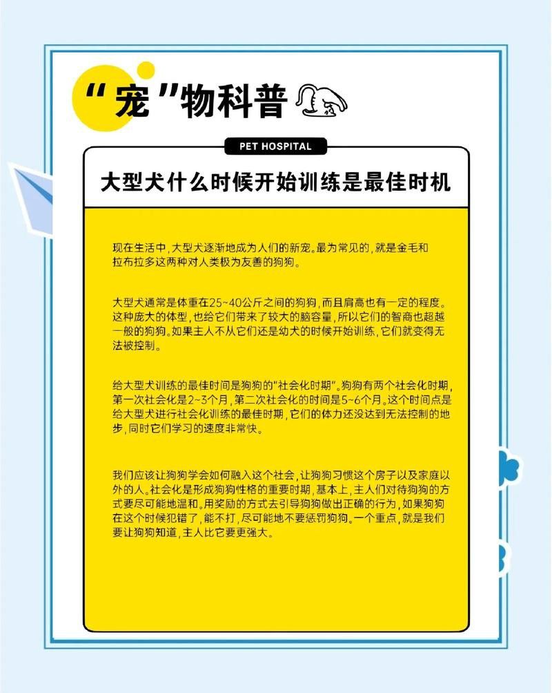 紅龍犬社會化訓(xùn)練需要多長時間