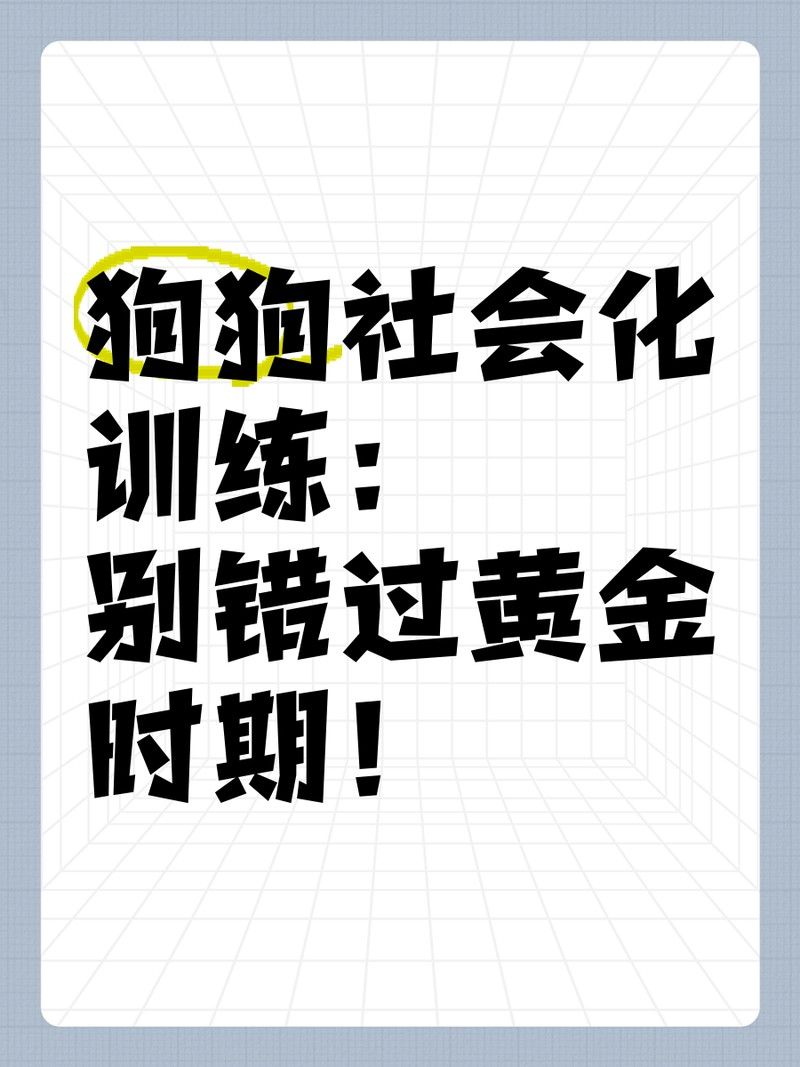 紅龍犬社會化訓(xùn)練需要多長時間