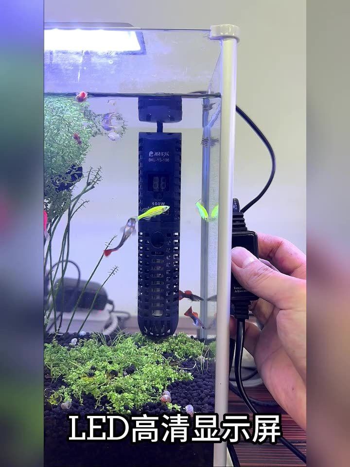 匯龍魚缸配件溫控器價格 匯龍魚缸配件溫控器價格 龍魚百科 第5張