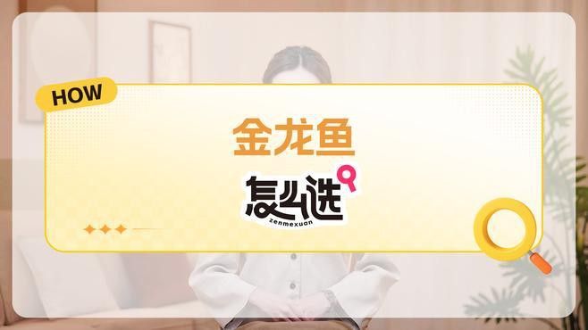金頭金龍魚適合新手飼養(yǎng)嗎？