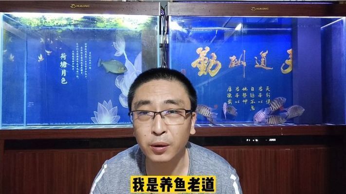 90缸養龍魚：90缸養龍魚，打造理想龍魚家園的全面指南
