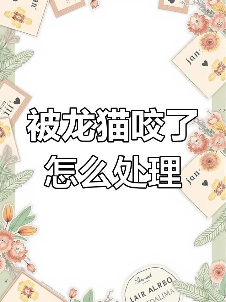龍貓咬傷多久后安全