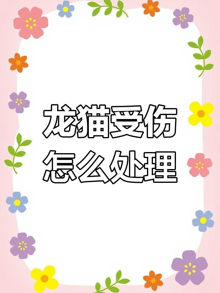 龍貓咬傷多久后安全
