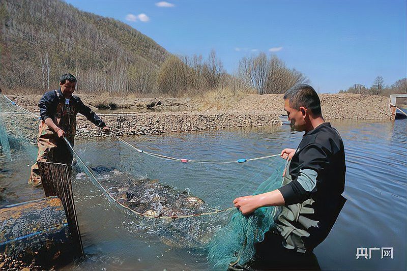 呼倫貝爾龍魚養(yǎng)殖基地在哪里 呼倫貝爾龍魚養(yǎng)殖基地在哪里 龍魚百科 第2張