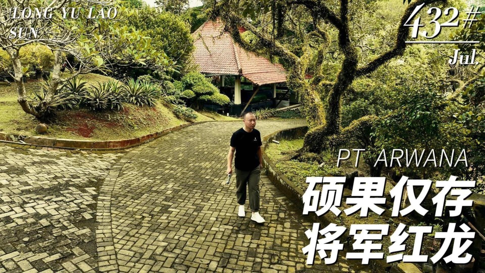 印尼知名龍魚漁場(chǎng) 龍魚百科 第4張 印尼知名龍魚漁場(chǎng) 印尼知名龍魚漁場(chǎng) 龍魚百科 第4張