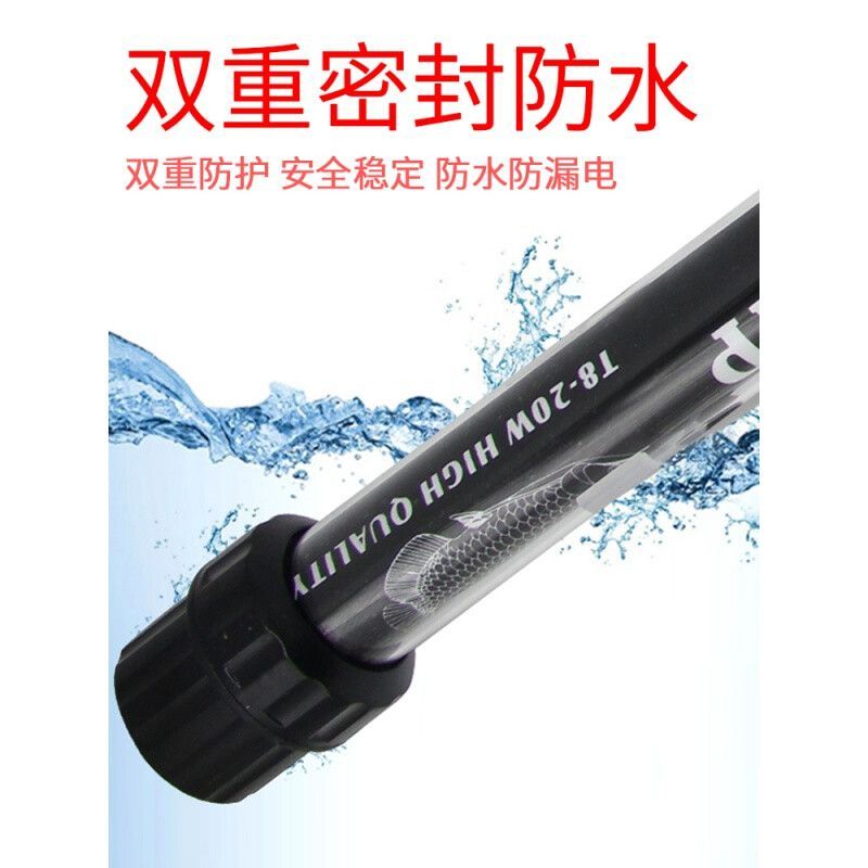 金龍魚成魚865 840：金龍魚成魚使用的燈管865和840
