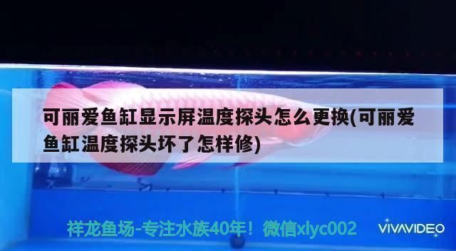 可麗愛魚缸面板壞了怎么辦 可麗愛魚缸面板壞了怎么辦 龍魚百科 第3張