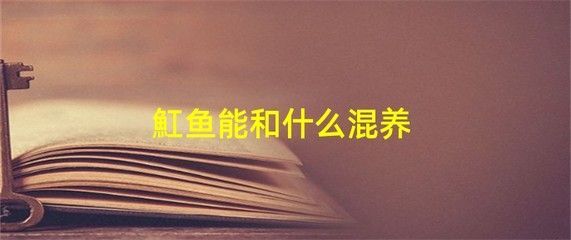 紅尾龍魚吃什么發(fā)色最好（紅尾龍魚吃什么發(fā)色好紅龍魚吃什么發(fā)色最好） 紅尾龍魚吃什么發(fā)色最好（紅尾龍魚吃什么發(fā)色好紅龍魚吃什么發(fā)色最好） 龍魚百科 第5張