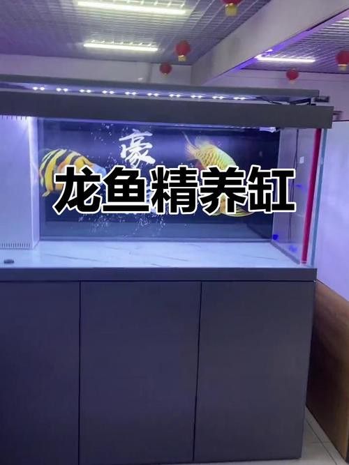 推薦一些高清龍魚缸壁紙圖片