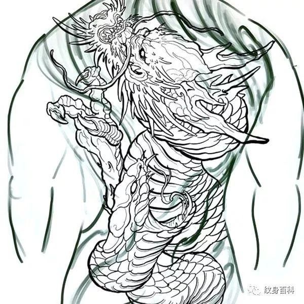 紋身龍魚代表什么意思（紋身龍魚的主要象征意義）