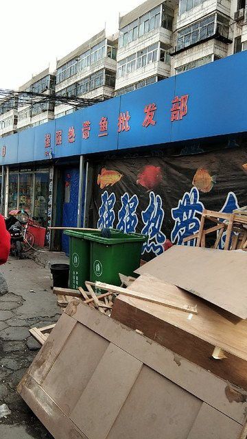 太原龍魚批發(fā)市場(chǎng)在哪里啊 太原龍魚批發(fā)市場(chǎng)在哪里啊 龍魚百科 第2張