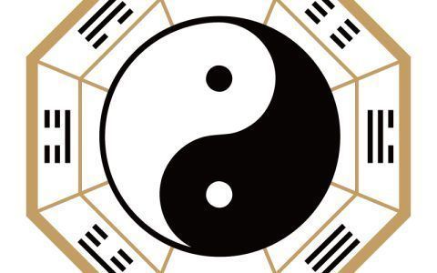 飼養(yǎng)龍魚跟屬相有關(guān)系嗎：風(fēng)水學(xué)中飼養(yǎng)龍魚與屬相有關(guān)聯(lián)，不同屬相的人適合養(yǎng)龍魚