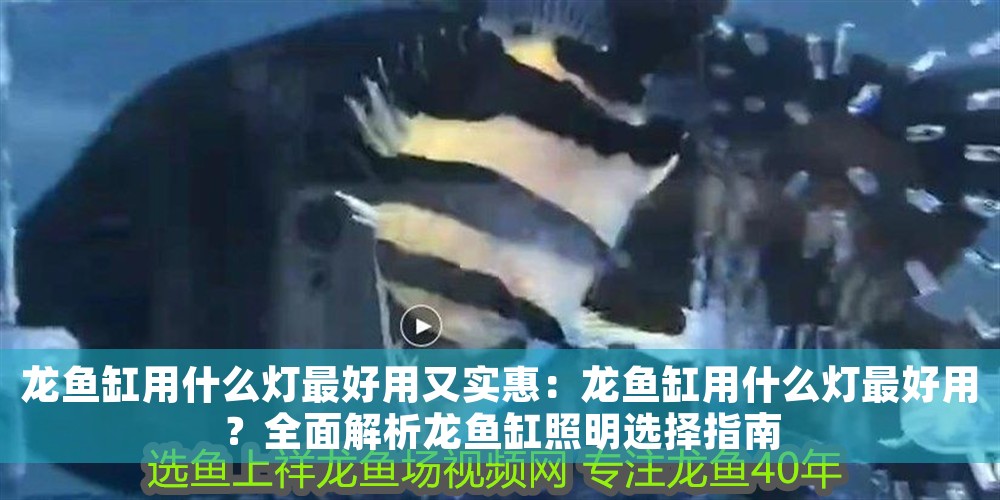 龍魚缸用什么燈最好用又實(shí)惠：龍魚缸用什么燈最好用？全面解析龍魚缸照明選擇指南