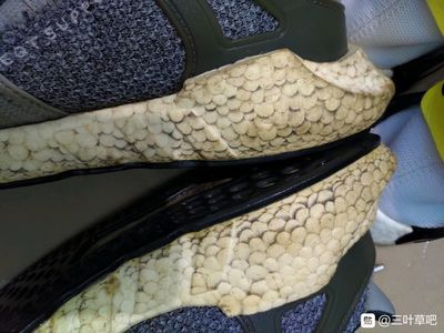 龍魚鱗發黑是什么原因：龍魚鱗片發黑是什么原因