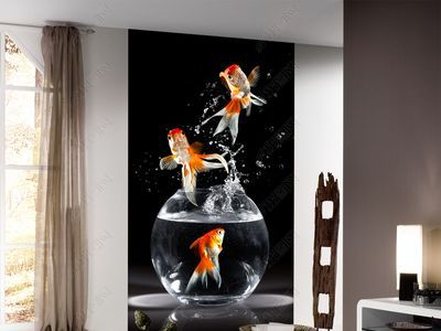 養紅龍魚缸用什么顏色背景墻好看：對于養紅龍魚缸的背景墻顏色根據搜索結果