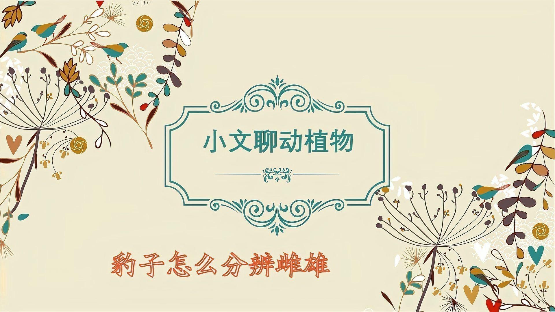綠皮皇冠豹公母怎么區(qū)分