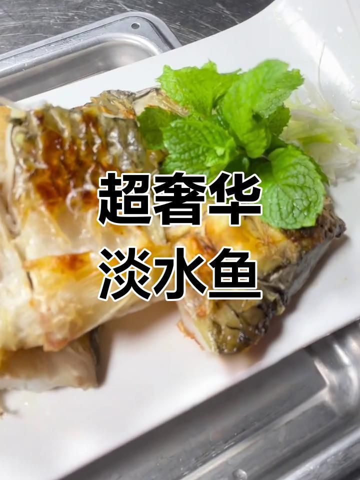馬來西亞國魚 馬來西亞國魚 龍魚百科 第6張