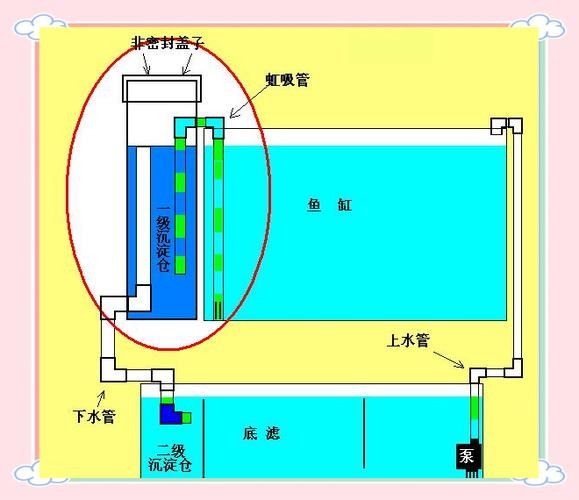 龍魚缸底濾濾材擺放教程圖解 龍魚缸底濾濾材擺放教程圖解 龍魚百科 第15張