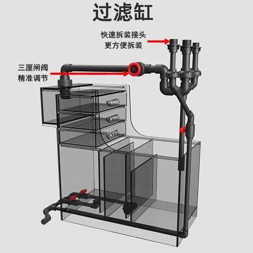 龍魚缸底濾濾材擺放教程圖解 龍魚缸底濾濾材擺放教程圖解 龍魚百科 第22張